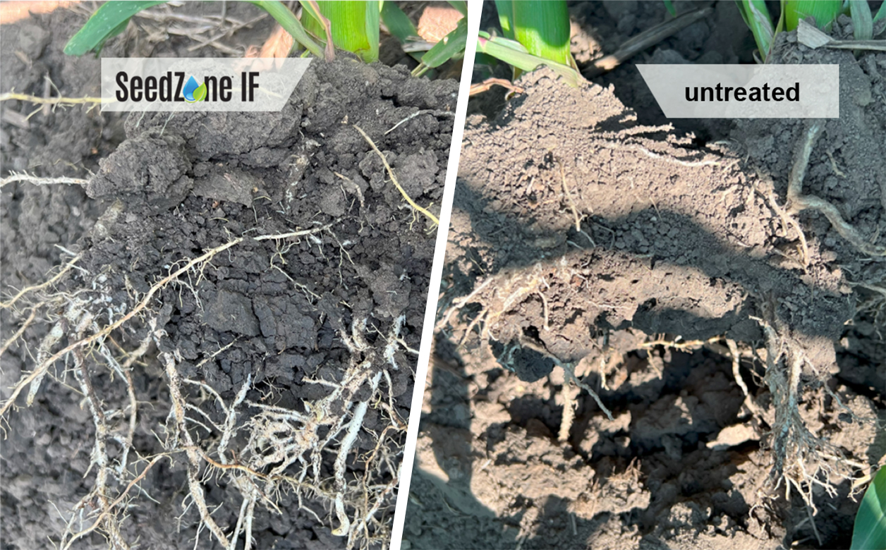 SZ IF Soil side by side